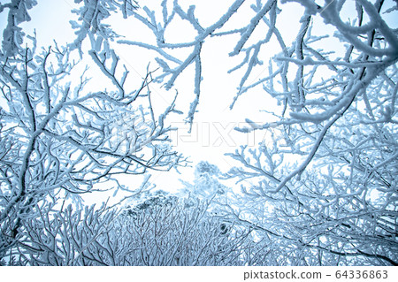 雪 雪 64336863