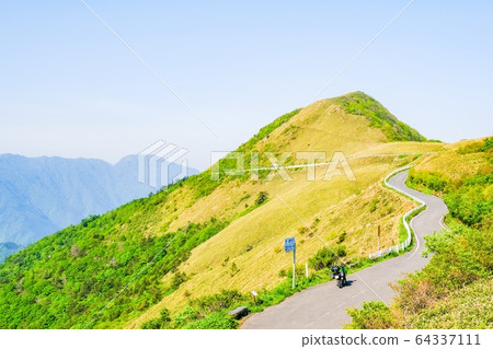 Bottle forest forest road 64337111