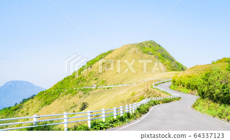 瓶森林森林公路 瓶森林森林公路 64337123