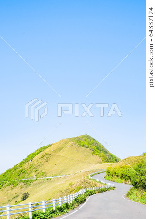 Bottle forest forest road Bottle forest forest road 64337124