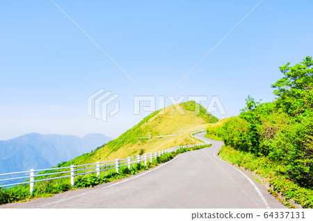 Bottle forest forest road Bottle forest forest road 64337131