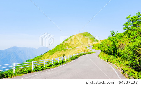 Bottle forest forest road 64337138