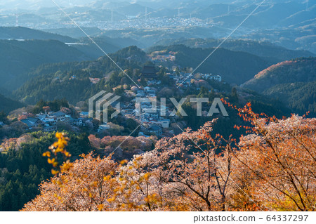 Mount Yoshino and cherry blossoms in spring Mount Yoshino and cherry blossoms in spring 64337297