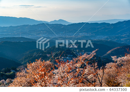 Mount Yoshino and cherry blossoms in spring Mount Yoshino and cherry blossoms in spring 64337300