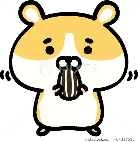 金倉鼠吃葵花籽 金倉鼠吃葵花籽 64337593