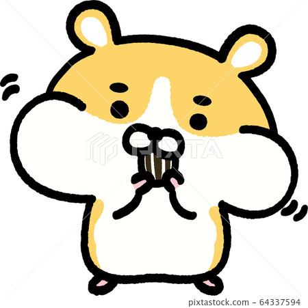Inflatable cheek pouch golden hamster 64337594