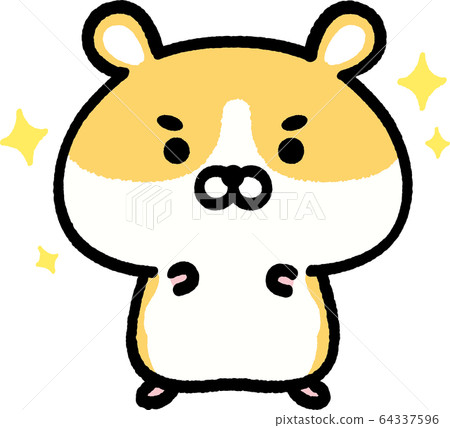 脆金倉鼠 脆金倉鼠 64337596