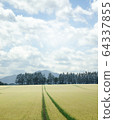 Summer landscape in Tokachi 64337855