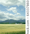 Summer landscape in Tokachi 64337860