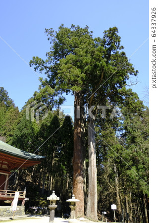 比叡山延歷寺西塔 64337926