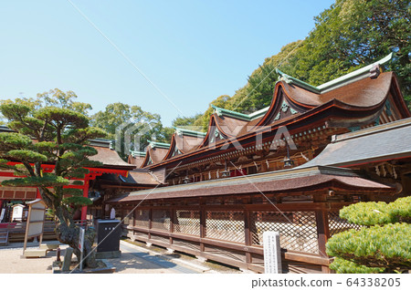 Sumiyoshi Shrine 64338205