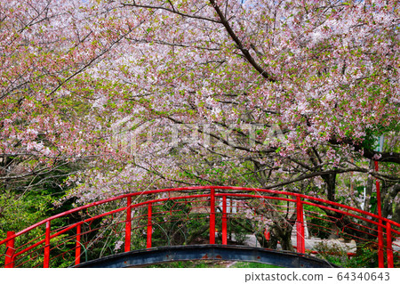 旭山森林公園 64340643