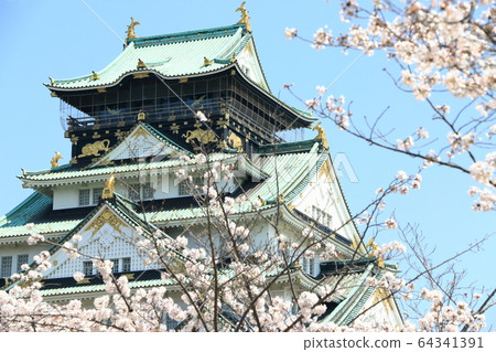 Osaka Castle castle tower and cherry tree Osaka Castle castle tower and cherry tree 64341391