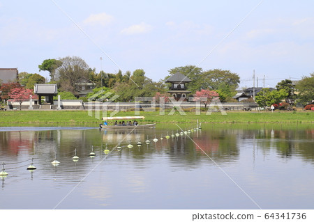Tatebayashi Azalea Park, Jonuma Pleasure Boat, Zenchoji Temple and Bell Tower Tatebayashi Azalea Park, Jonuma Pleasure Boat, Zenchoji Temple and Bell Tower 64341736