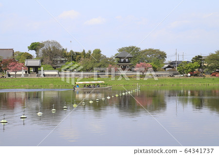 Tatebayashi Azalea Park, Jonuma Pleasure Boat, Zenchoji Temple and Bell Tower Tatebayashi Azalea Park, Jonuma Pleasure Boat, Zenchoji Temple and Bell Tower 64341737