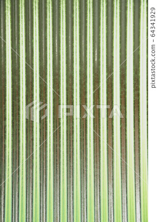 Texture silver metal green 64341929