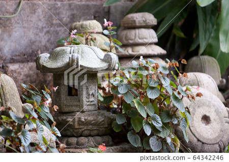 7 Feb 2008 zen design on empty wooden with green 64342246