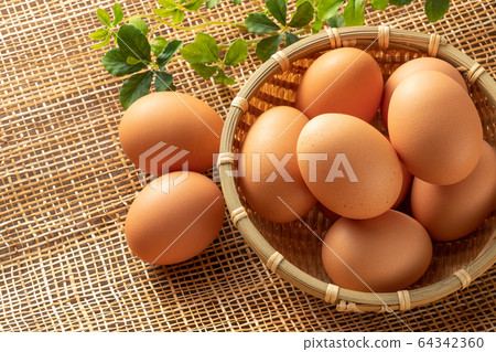 An egg 64342360