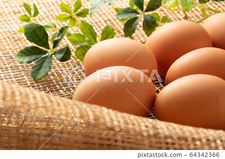 An egg An egg 64342366