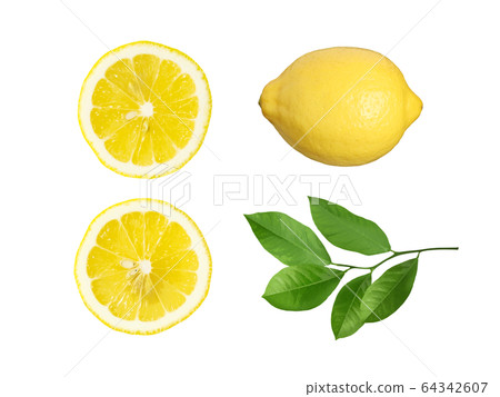 Material-Lemon 64342607