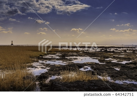 濟州島江陵海 64342751