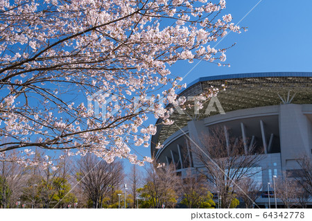 Saitama Stadium 2002 and Sakura 64342778