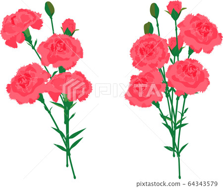 康乃馨花束粉紅色矢量插圖集＃01 64343579