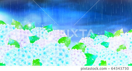 繡球花水彩花背景 繡球花水彩花背景 64343730