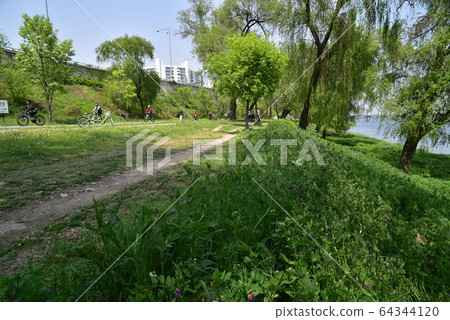 Spring of the Han River 64344120