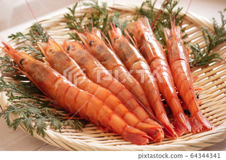 Argentine shrimp 2 64344341