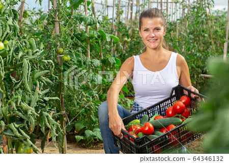 Smiling woman gardener with basket of harvest of fresh vegetables 64346132