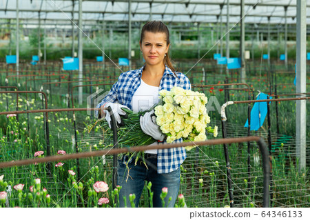 Woman gardener with bouquet of white carnations in orangery Woman gardener with bouquet of white carnations in orangery 64346133