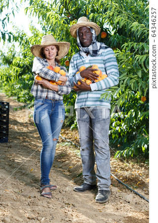 Owners of orchard with peaches in hands Owners of orchard with peaches in hands 64346257