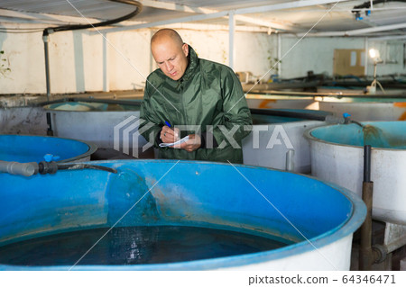 Owner of trout farm checking reservoirs with fry 64346471
