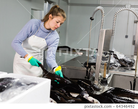 Woman preparing fish for packaging 64346492