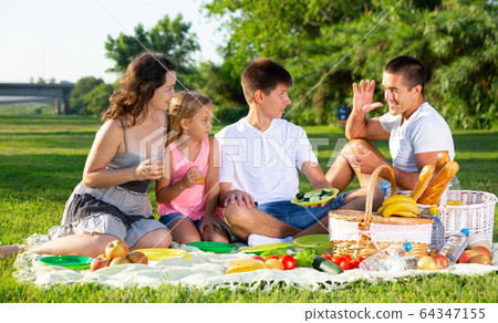 Family enjoying picnic 64347155