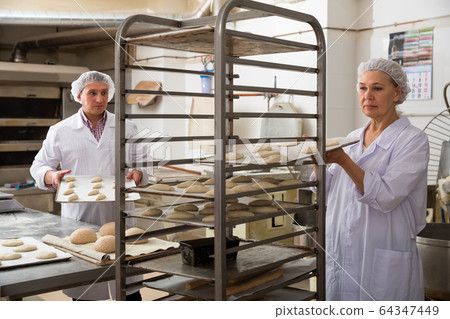 Mature woman placing tray with formed dough Mature woman placing tray with formed dough 64347449