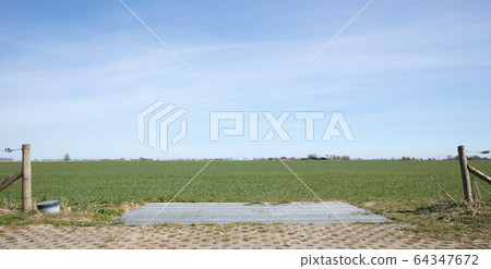 Cattle grid in ground Cattle grid in ground 64347672