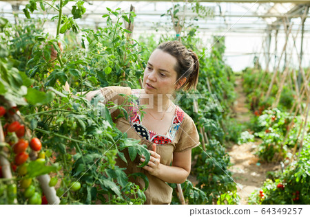 Woman working in glasshousw 64349257
