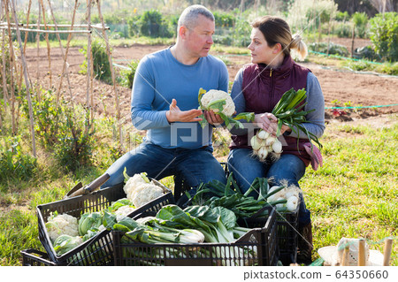Couple of professional gardeners standing with harvest of vegetables 64350660