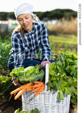Girl farmer with a basket of vegetables in the garden Girl farmer with a basket of vegetables in the garden 64351106