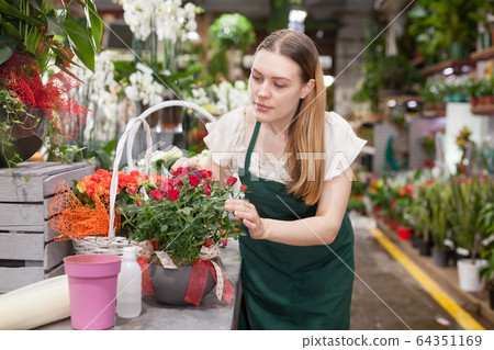 Female florist wearing an apron working in the floral shop Female florist wearing an apron working in the floral shop 64351169