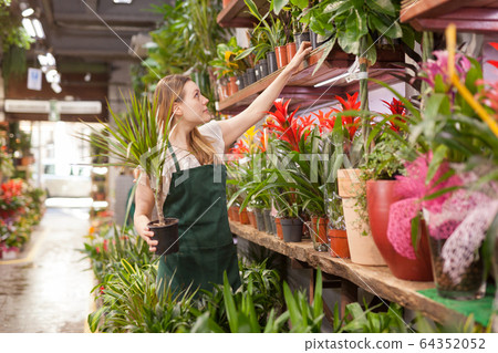 Portrait of woman florist with baskets of flowers in flower shop Portrait of woman florist with baskets of flowers in flower shop 64352052