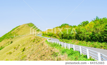 瓶森林森林公路 瓶森林森林公路 64352883