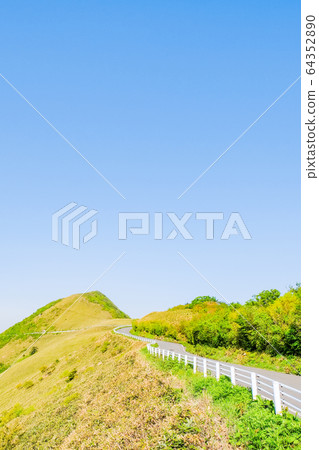 瓶森林森林公路 瓶森林森林公路 64352890