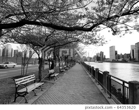 Park in Astoria Queens New York along the east river with a view of Roosevelt Island - image 64353620