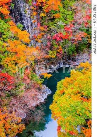Tsuchikyo Gorge (Autumn) 64353868