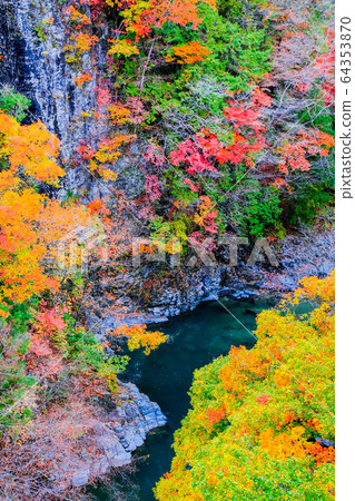 Tsuchikyo Gorge (Autumn) 64353870