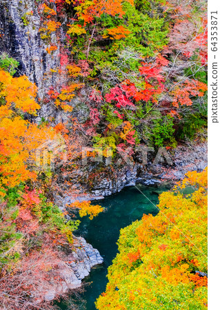 Tsuchikyo Gorge (Autumn) 64353871