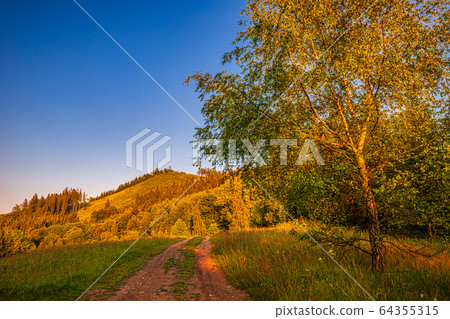 Mountainous landscape with tree in foreground. 64355315